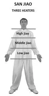 Acupuncture by Kim newsletter image